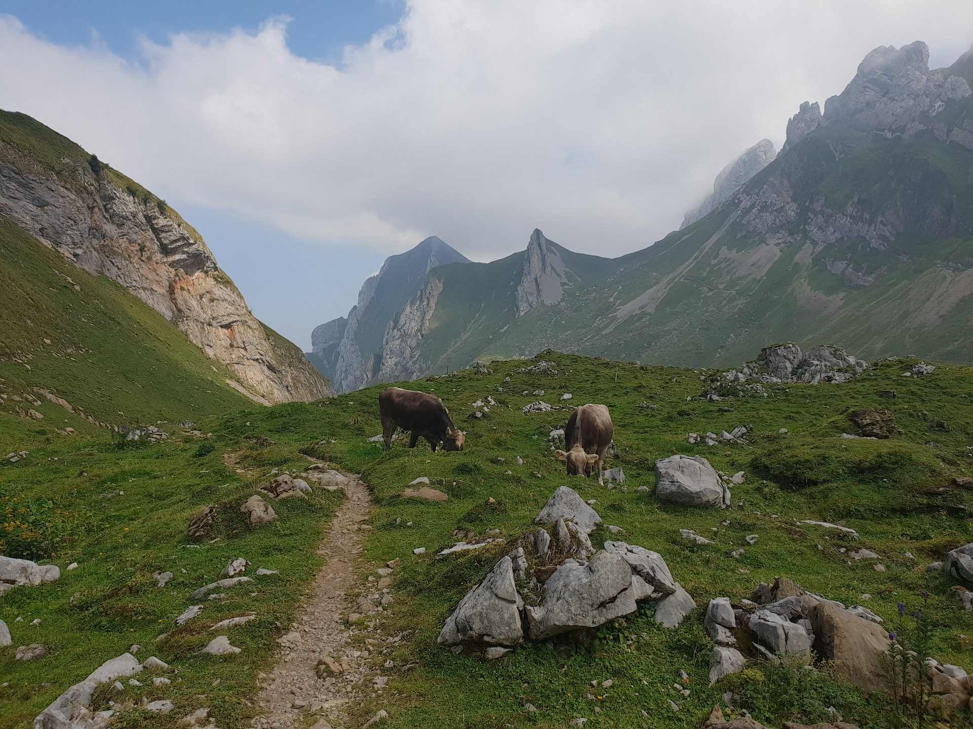 Säntis from Zurich — Alpine Ridge Day in Appenzell