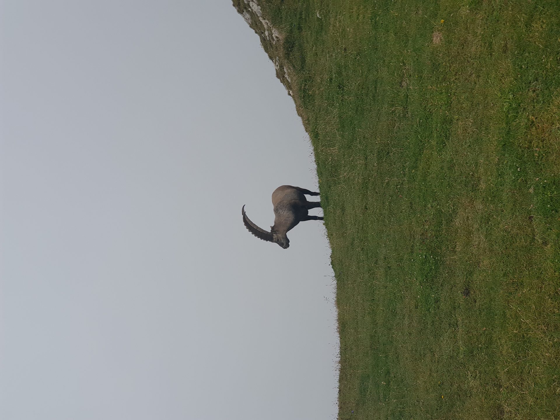 Säntis from Zurich — Alpine Ridge Day in Appenzell
