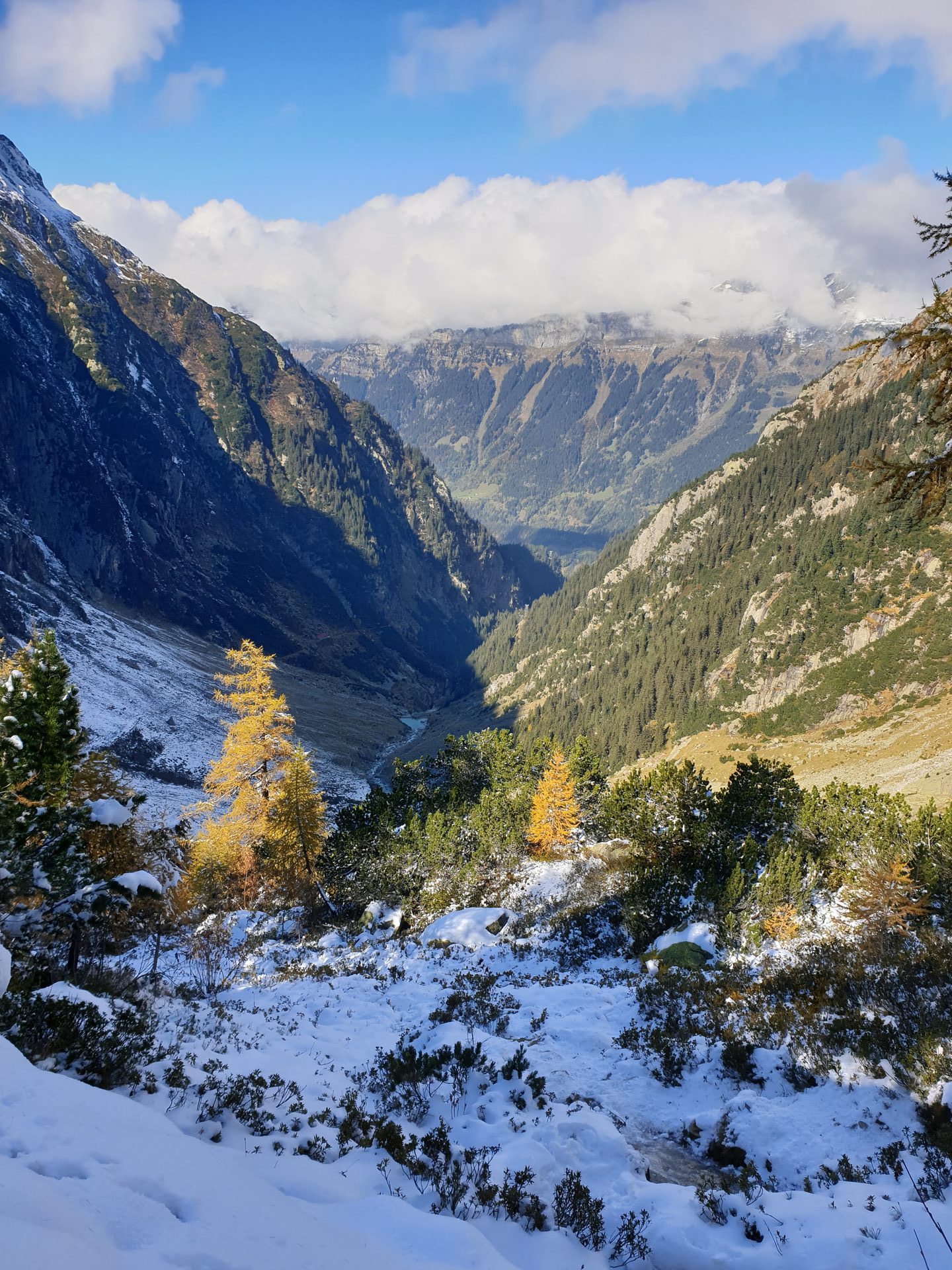 Triftbrücke from Zurich