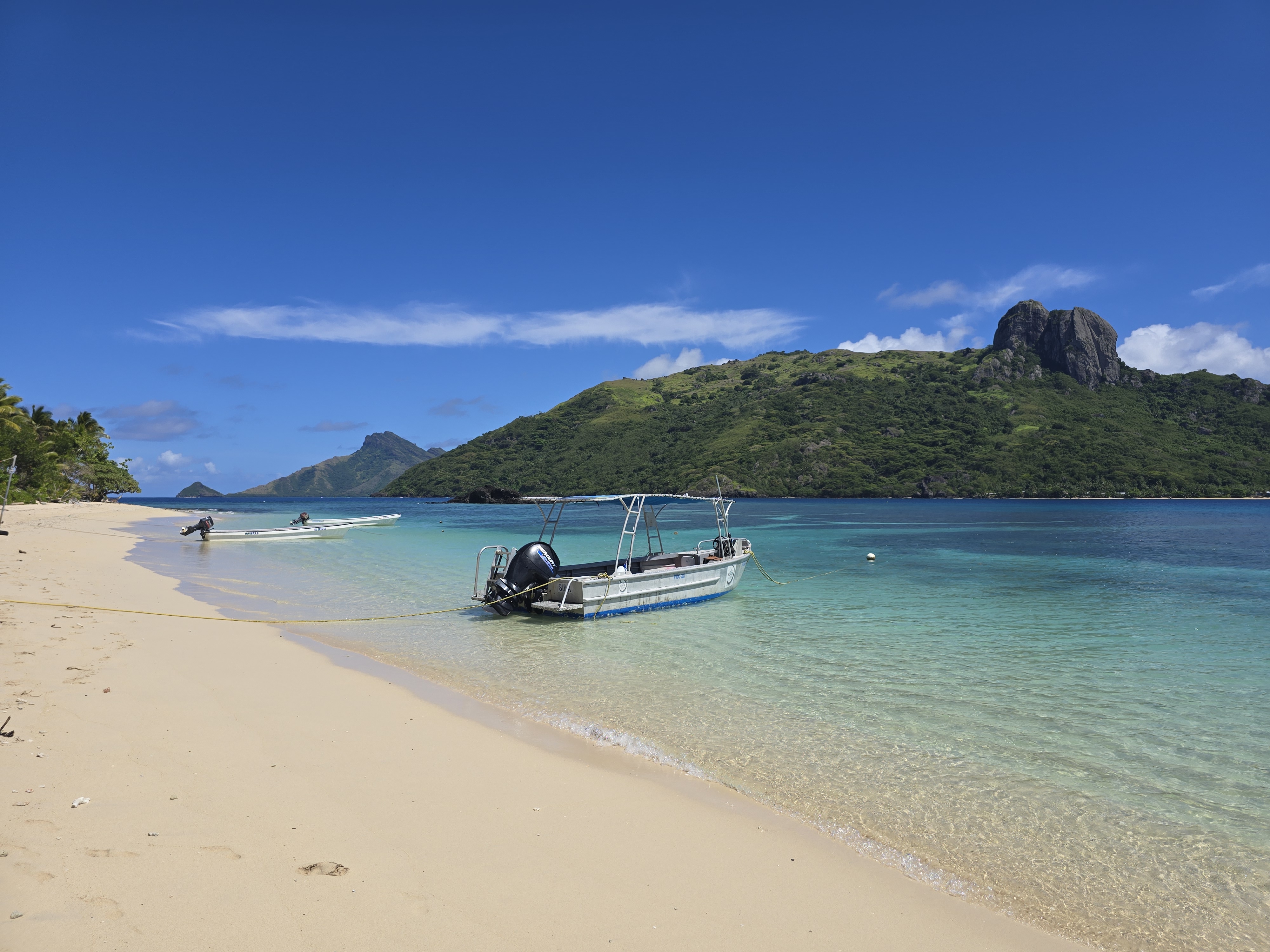 Kuata Island Shark Dive, Fiji