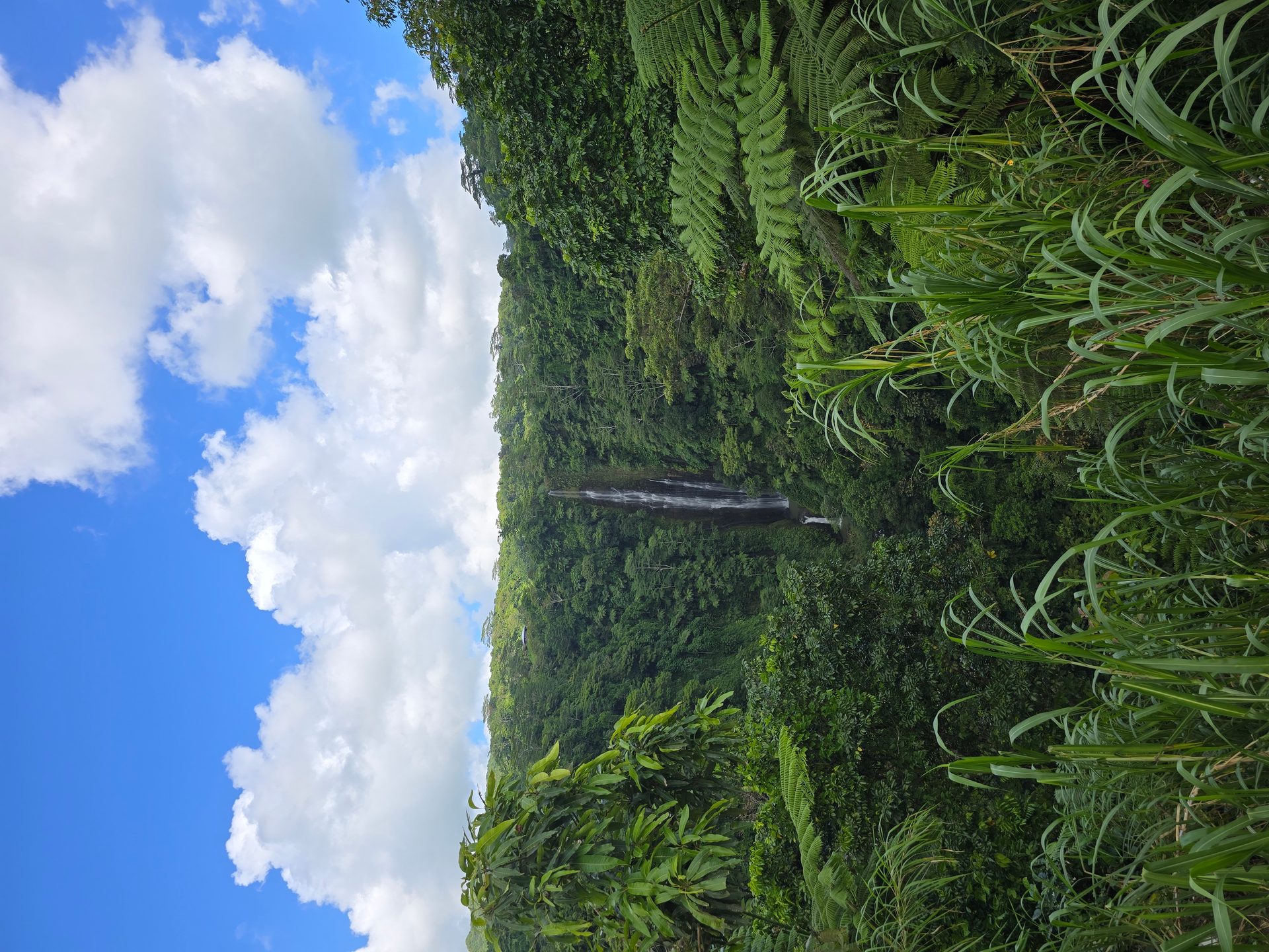 Samoa — Upolu and Savai'i Island Road Trip