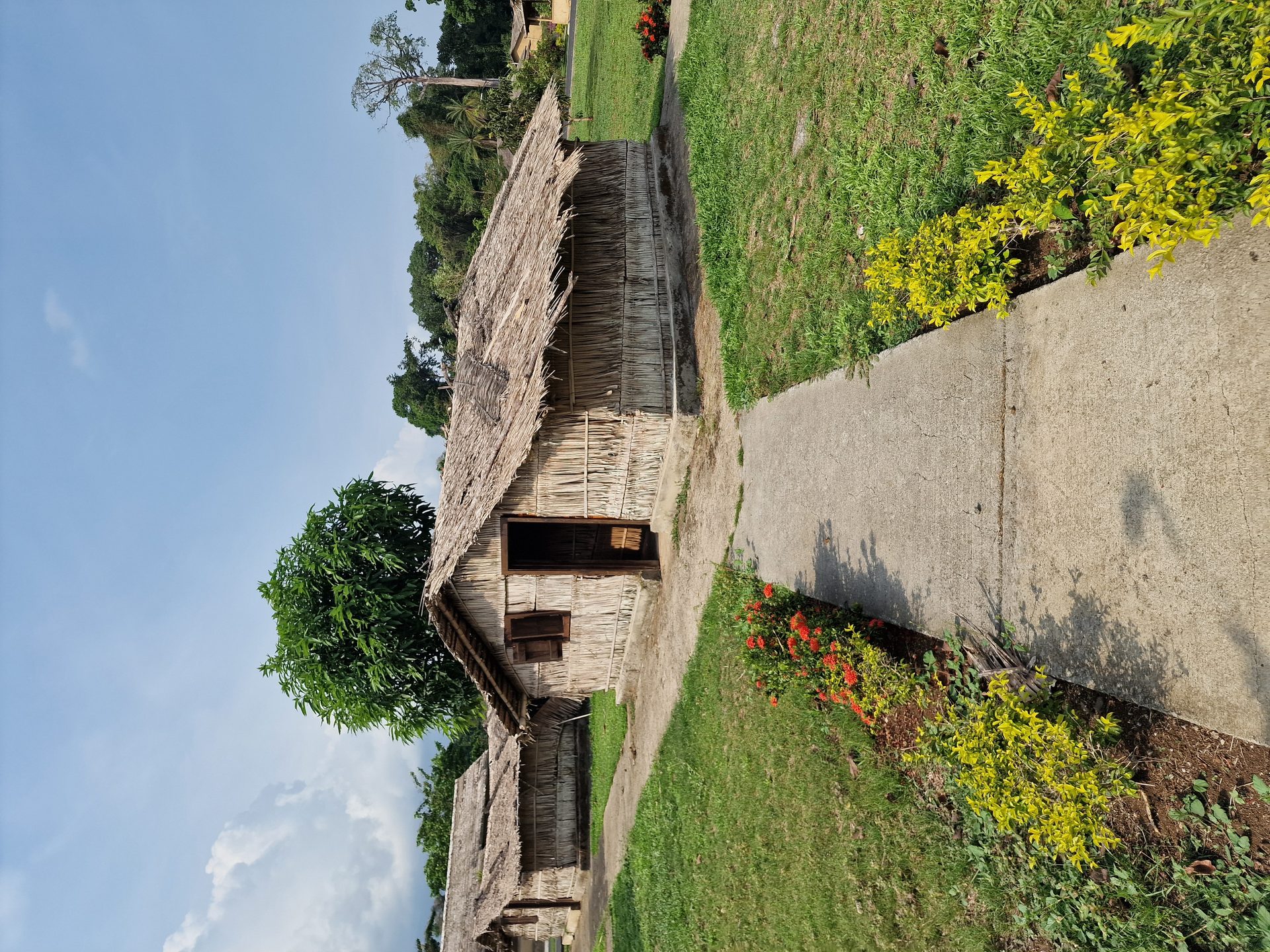 Bioko Island Journey, Equatorial Guinea