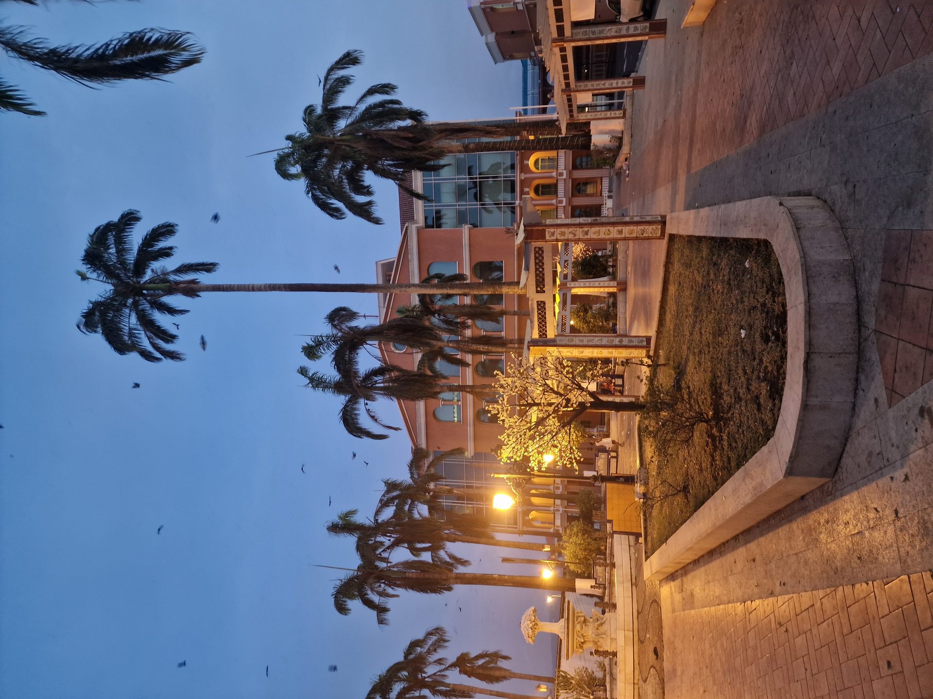 Bioko Island Journey, Equatorial Guinea